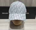 Dior Cap best quality without box