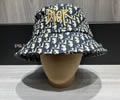 Dior Cap best quality without box