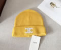 CELINE Winter Cap with box best quality