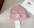 CELINE Winter Cap with box best quality