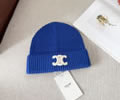 CELINE Winter Cap with box best quality