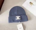 CELINE Winter Cap with box best quality