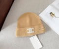 CELINE Winter Cap with box best quality