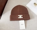 CELINE Winter Cap with box best quality