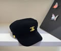 CELINE Winter Cap with box best quality
