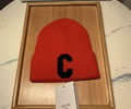 CELINE Winter Cap with box best quality