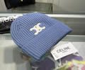 CELINE Winter Cap with box best quality
