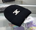CELINE Winter Cap with box best quality