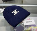 CELINE Winter Cap with box best quality