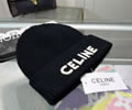 CELINE Winter Cap with box best quality
