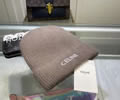 CELINE Winter Cap with box best quality