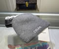 CELINE Winter Cap with box best quality