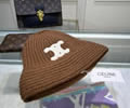 CELINE Winter Cap with box best quality
