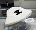 CELINE Winter Cap with box best quality