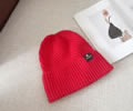 CELINE Winter Cap with box best quality