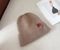 CELINE Winter Cap with box best quality