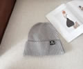 CELINE Winter Cap with box best quality