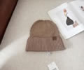 CELINE Winter Cap with box best quality
