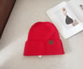 CELINE Winter Cap with box best quality