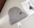 CELINE Winter Cap with box best quality