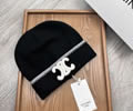 CELINE Winter Cap with box best quality