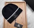 CELINE Winter Cap with box best quality