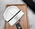 CELINE Winter Cap with box best quality
