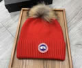 CANADA GOOSE Winter Cap best quality