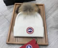 CANADA GOOSE Winter Cap best quality