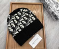 DIOR Cap best With box quality
