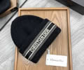 DIOR Cap best With box quality