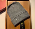 Loro Piana Winter Cap with box best quality