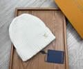 Louis Vuitton Cap With Box best quality