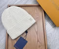 Louis Vuitton Cap With Box best quality
