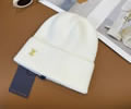 Louis Vuitton Cap With Box best quality