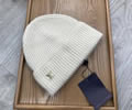 Louis Vuitton Cap With Box best quality