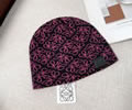 LOEWE Winter Cap With Box best quality