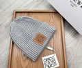 LOEWE Winter Cap With Box best quality