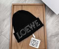 LOEWE Winter Cap With Box best quality