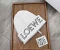 LOEWE Winter Cap With Box best quality