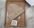 LOEWE Winter Cap With Box best quality