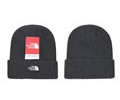 The north face Cap