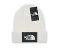The north face Cap