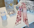 DIOR Scarf Ribbon Hair 6x105CM best quality