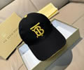 BURBERRY Cap With box best quality 1:1