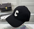 CELINE Cap With box best quality 1:1