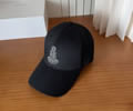 CELINE Cap With box best quality 1:1