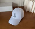 CELINE Cap With box best quality 1:1