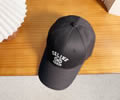 CELINE Cap With box best quality 1:1
