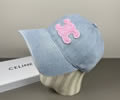 CELINE Cap With box best quality 1:1